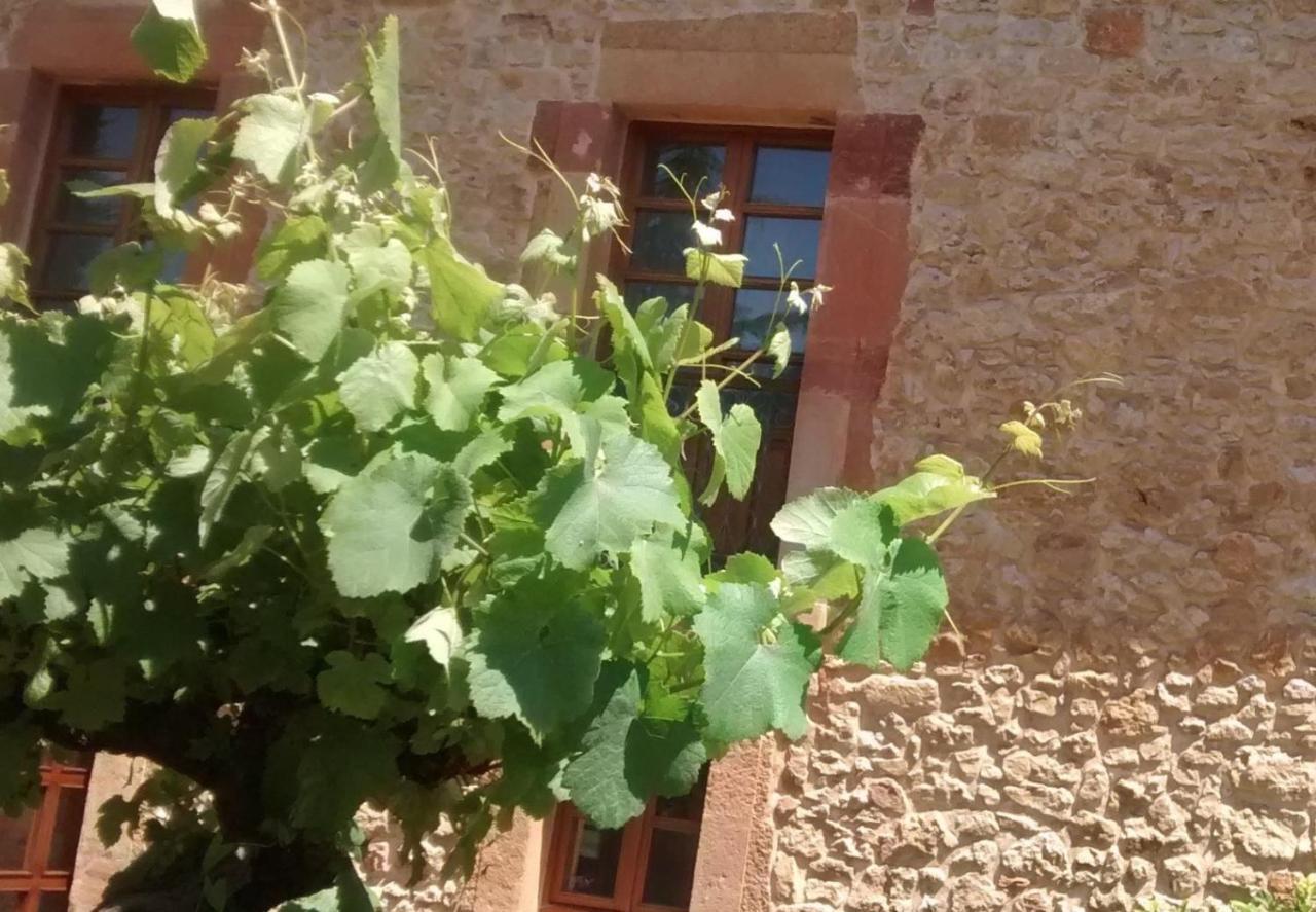 אוביידו Hotel Palacio De La Vinona מראה חיצוני תמונה